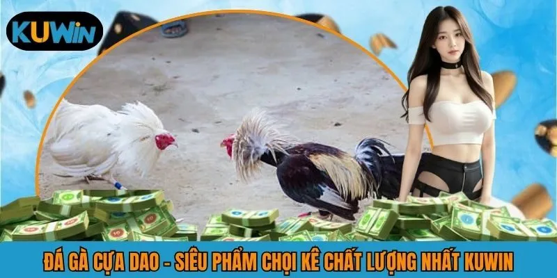 Đá Gà Cựa Dao - Loại Hình Đánh Cược Sành Điệu Nhất KUWIN