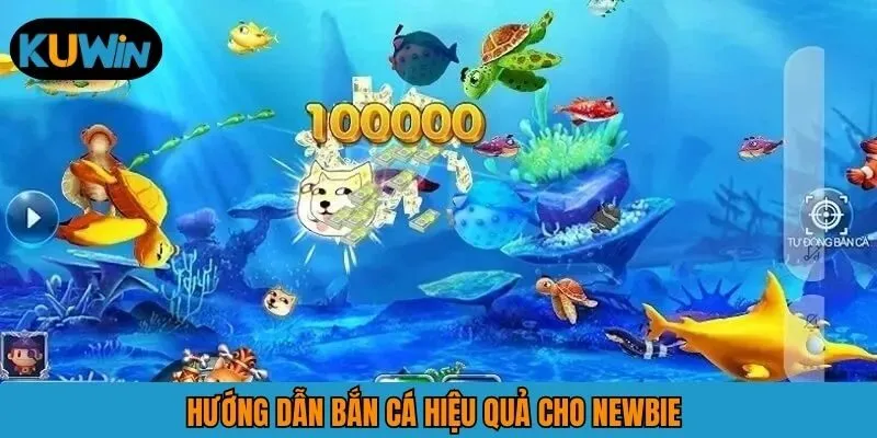 Hướng dẫn bắn cá hiệu quả cho newbie 