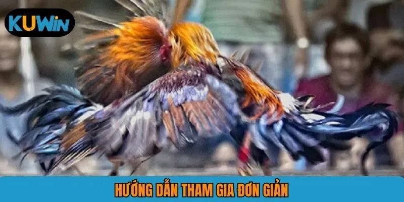 Hướng dẫn tham gia đơn giản
