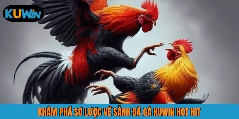 Khám phá sơ lược về sảnh đá gà KUWIN hot hit