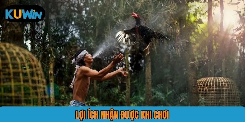 Lợi ích nhận được khi chơi