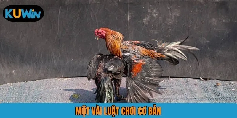 Một vài luật chơi cơ bản